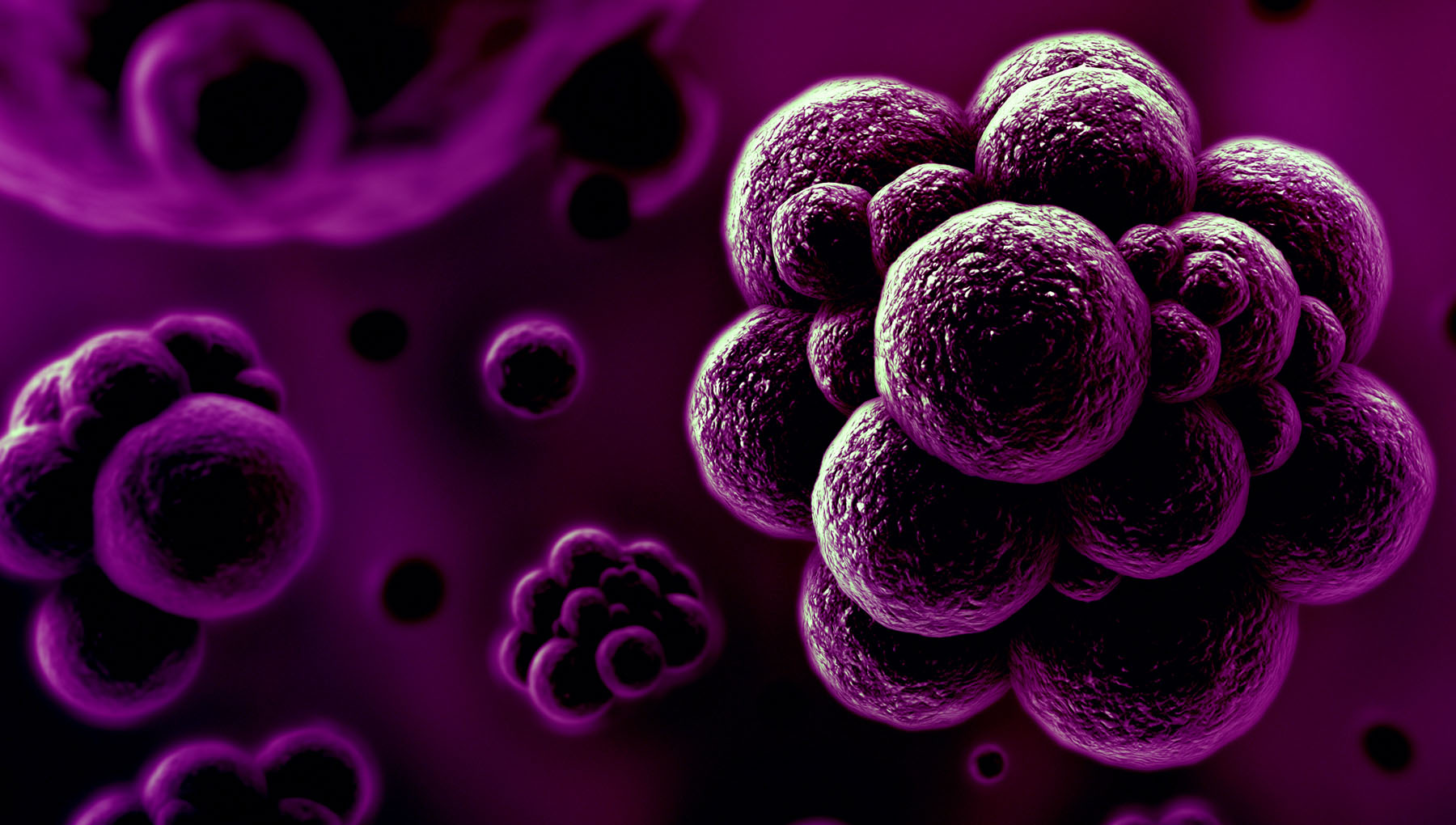 superbugs-image